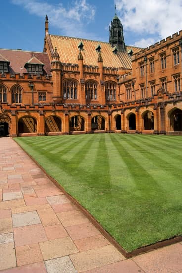 拉達拉達什么意思